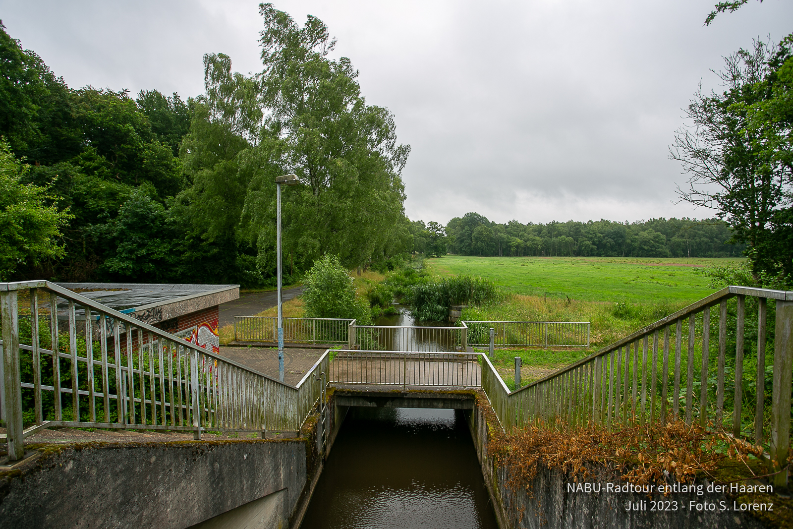 Ein Renaturierter Streckenabschnitt am Ablauf der Regenwasserrückhaltebecken