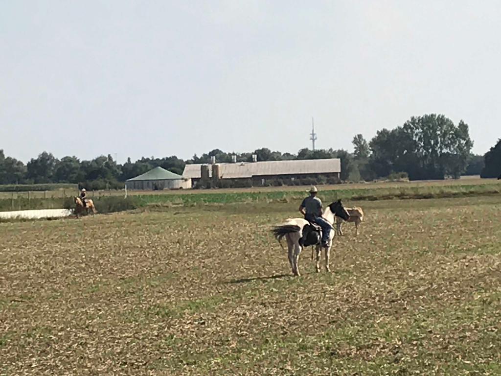 Beim Rinderarbeitskurs gab es plötzlich eine sehr reale Arbeit....