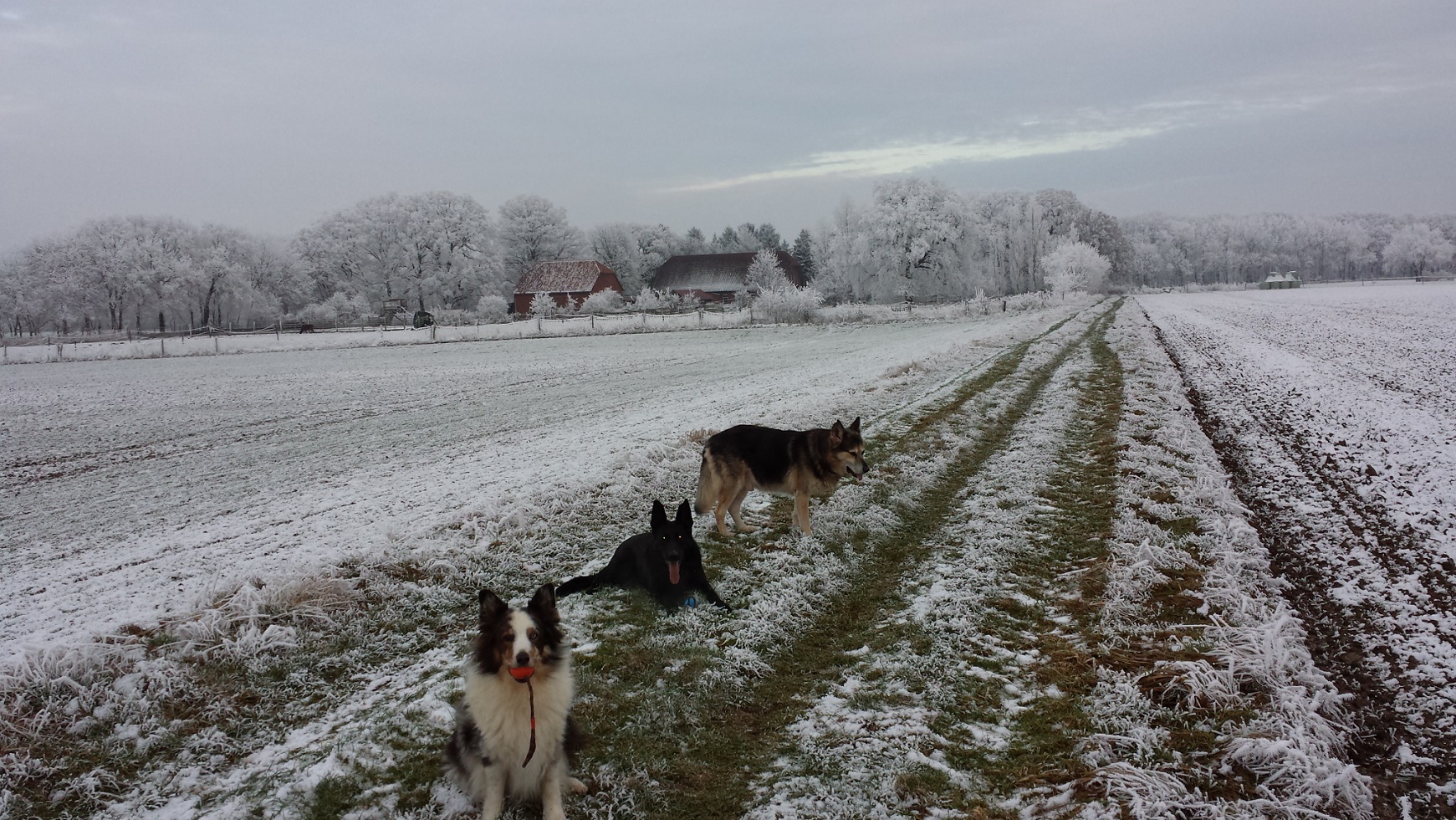 Winterspaziergang 2017