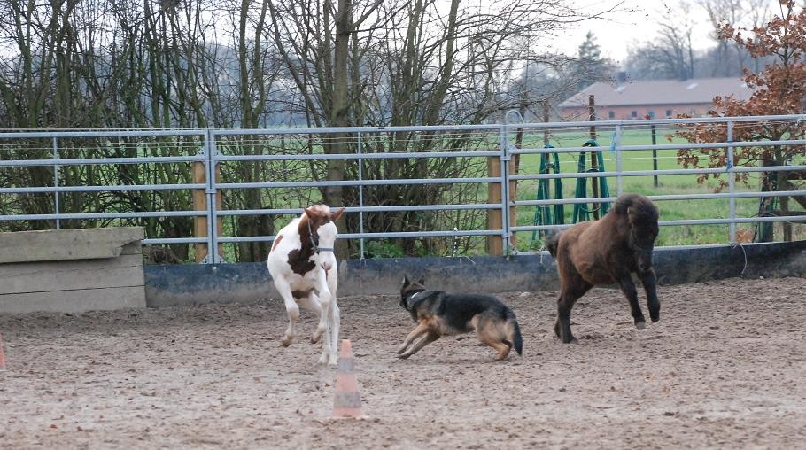 Der "Böse Wolf" kann uns mal  ;-)))