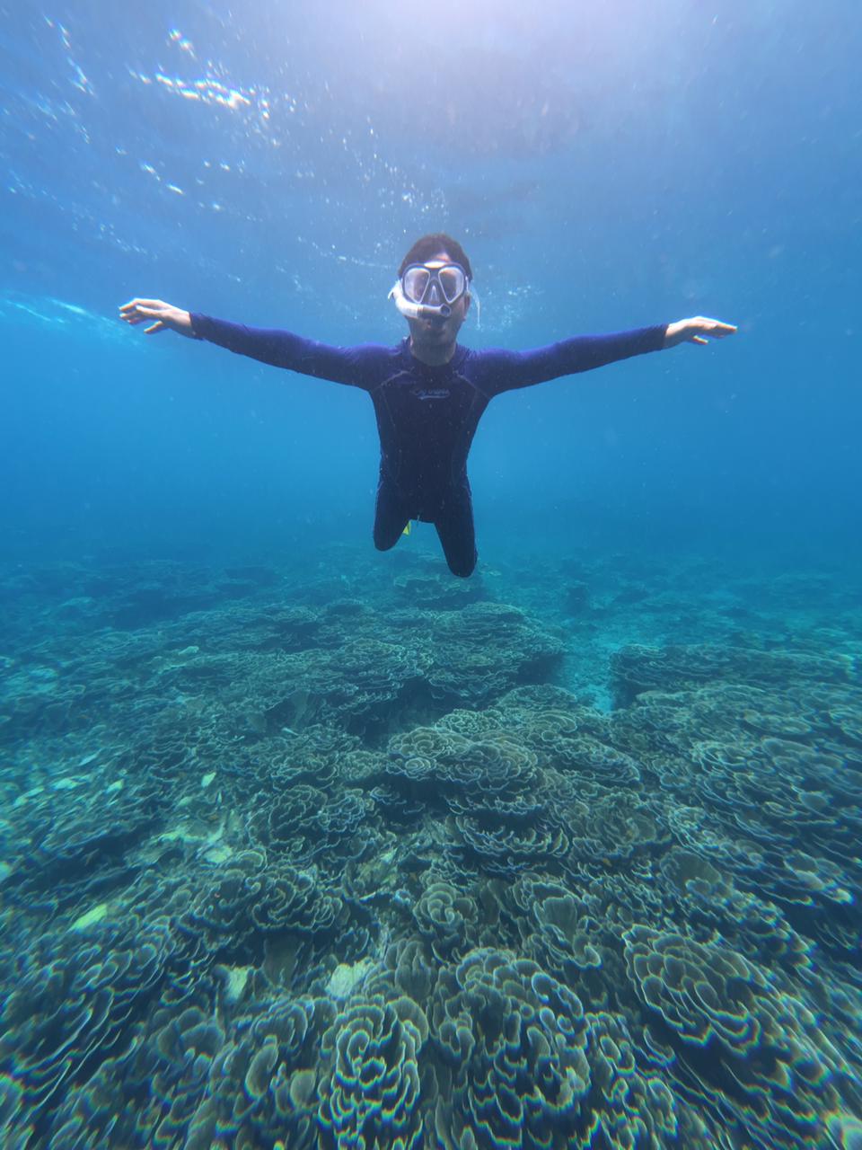 dive class