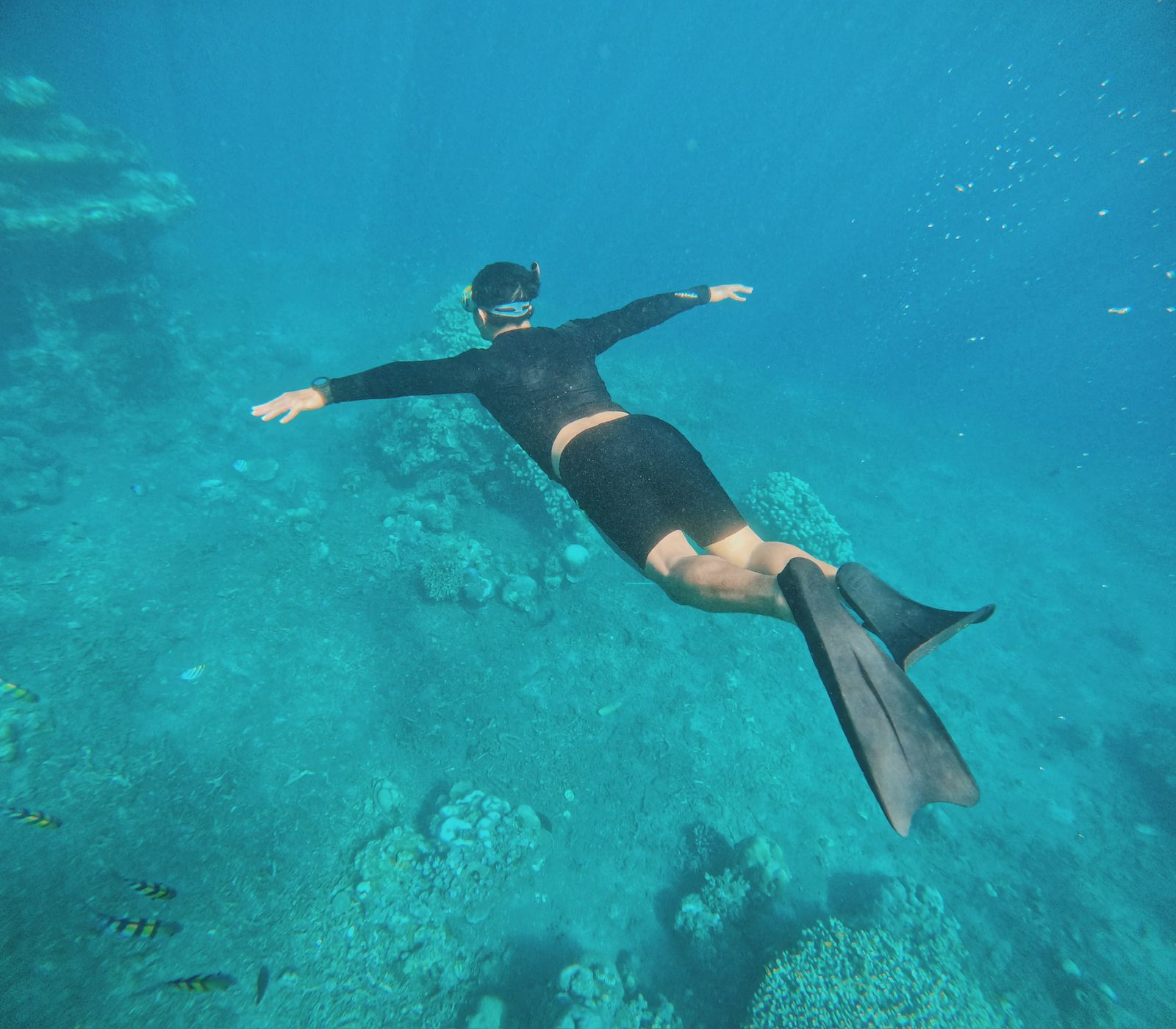 Seven Best Thing Are In Bali