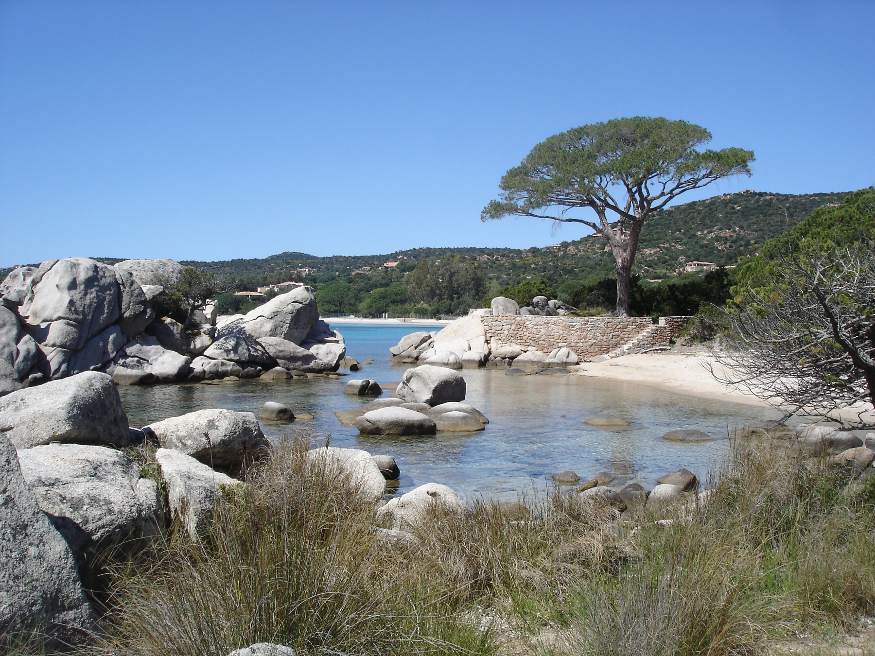 16 Plages De Tamaricciu Et Palombaggia Visiter La Corse