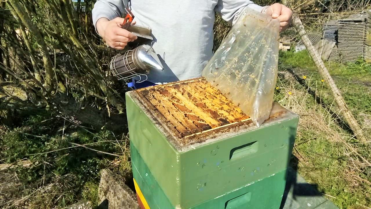 Frühjahrsdurchsicht zweizargig überwinterter Bienenvölker