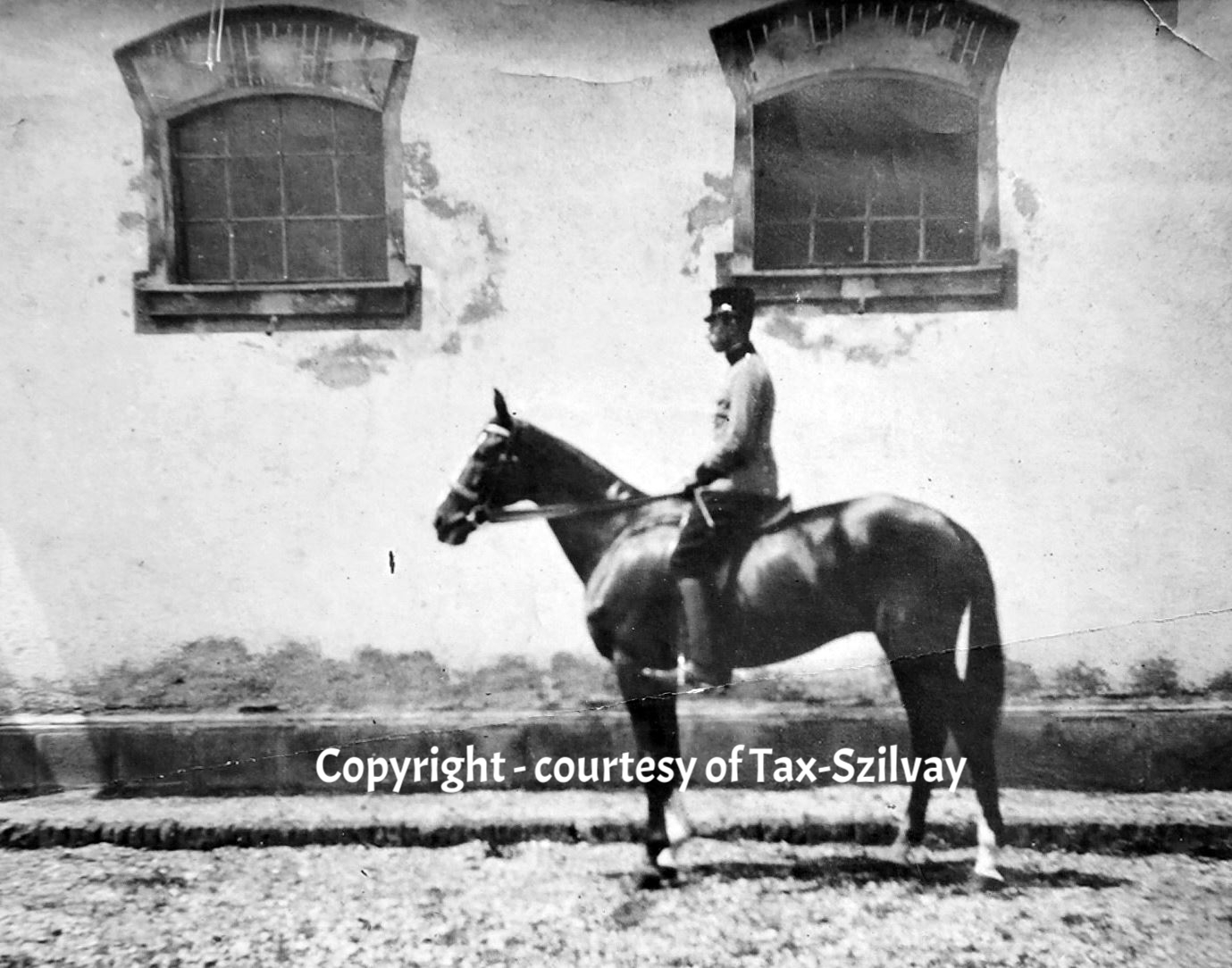 Tax-Szilvay am Turnierpferd