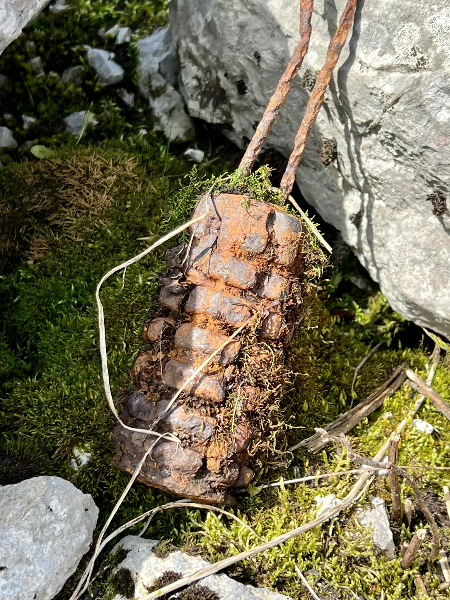 Die österr. Handgranate