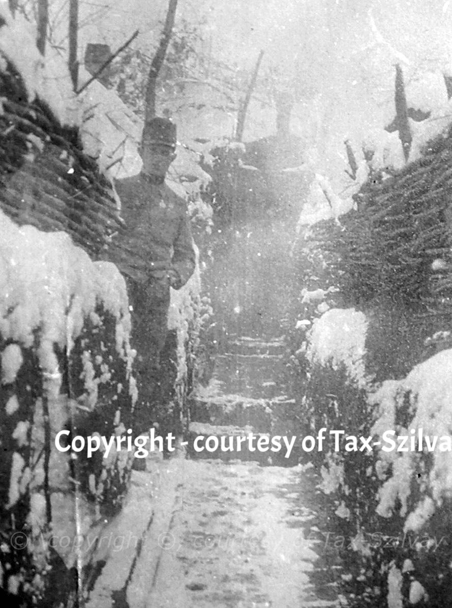 Winter 1916, Strypafront/Dnestr