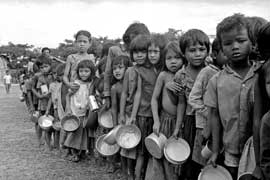 En menos de cinco años, entre un cuarto y un tercio de los habitantes de ese país sin familia murió