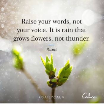 raise your words