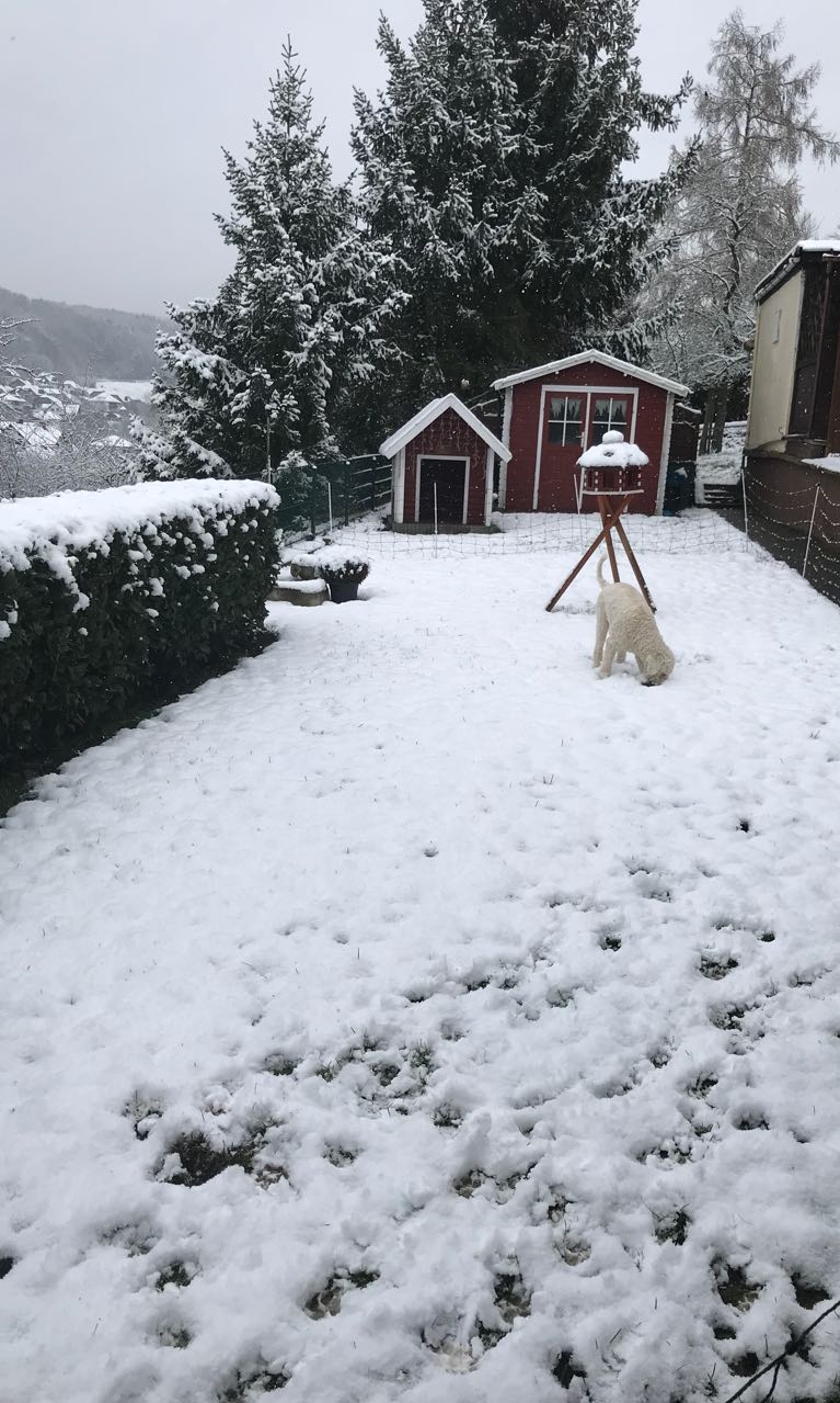 Uiiii - hier liegt ja Schnee