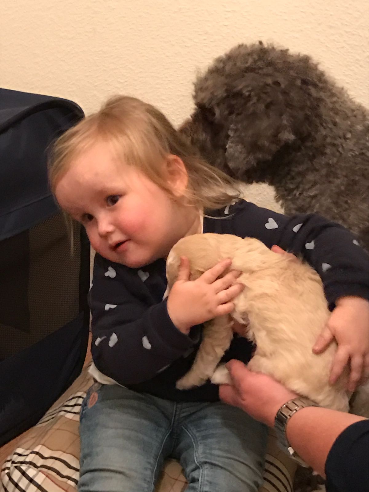 Milka schaut sich das Menschenkind auch mal an :-) War aber mega entspannt und legte sich hinterher sogar ganz abseits. Sie ist so eine coole Mama.