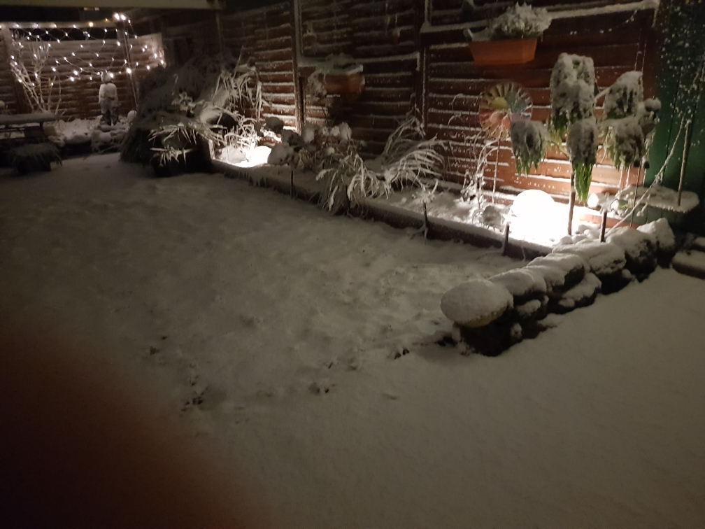 Wir holen dich bald - dann kannst du hier im Schnee mit deinen Mädels toben. 