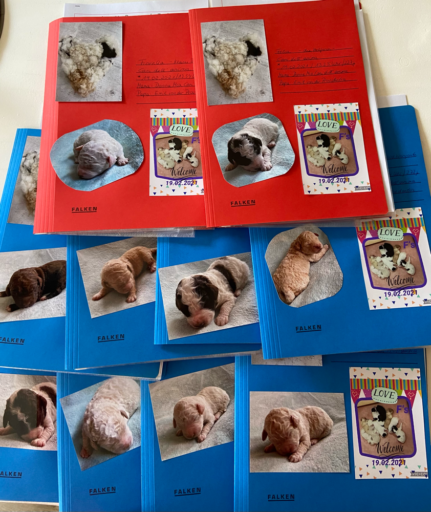 Die Mappen bekommen immer alle Welpen mit auf den Weg und eine große Box mit dies und das...