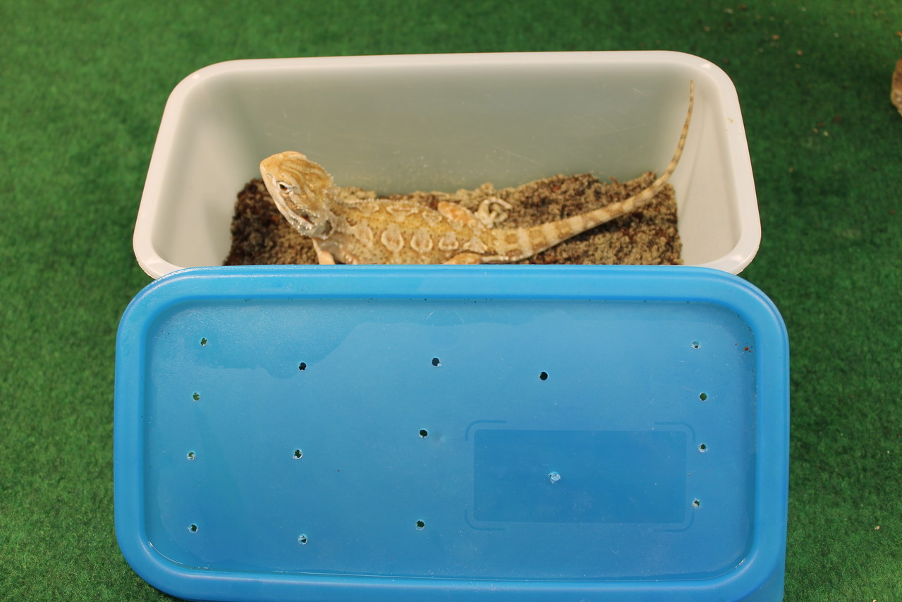 Winterruhe - Image Winterruhe - Image