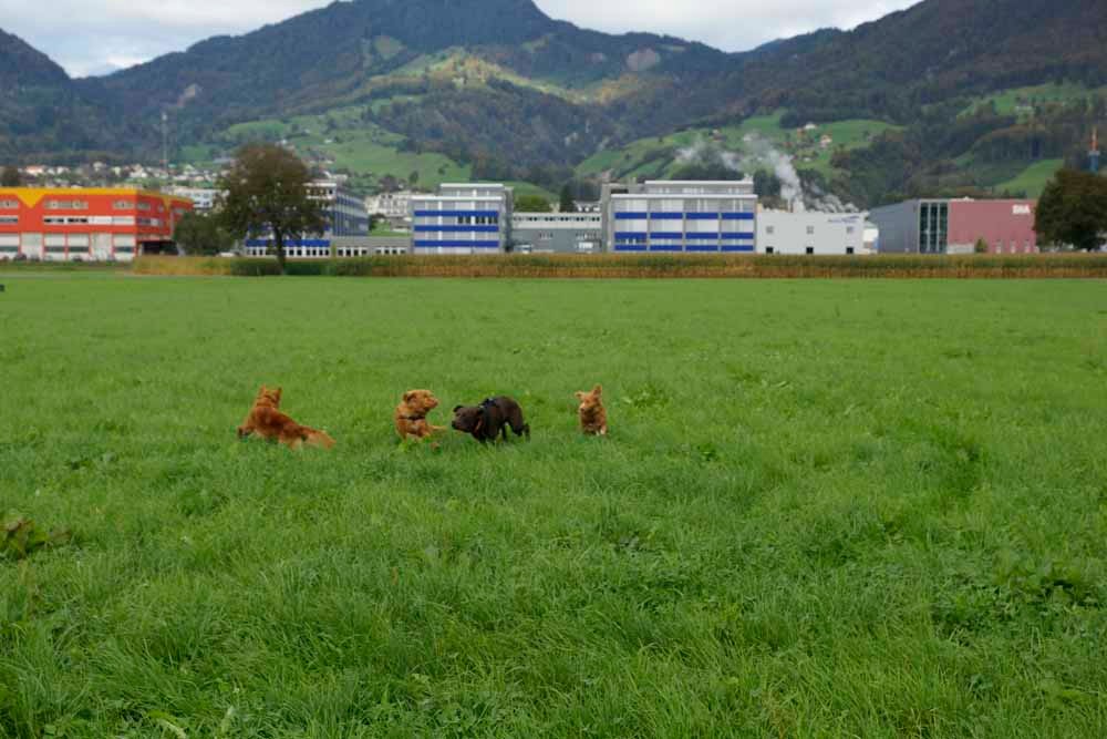 kleines Aufwärmen 