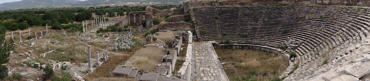 le stade