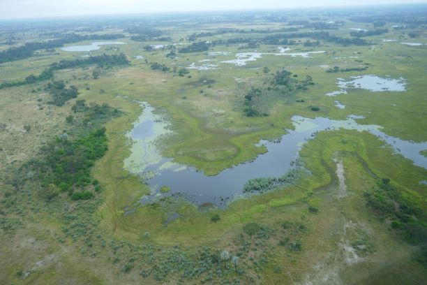 Okawango-Delta