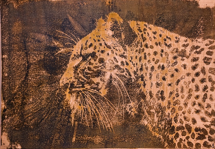 Cheetah