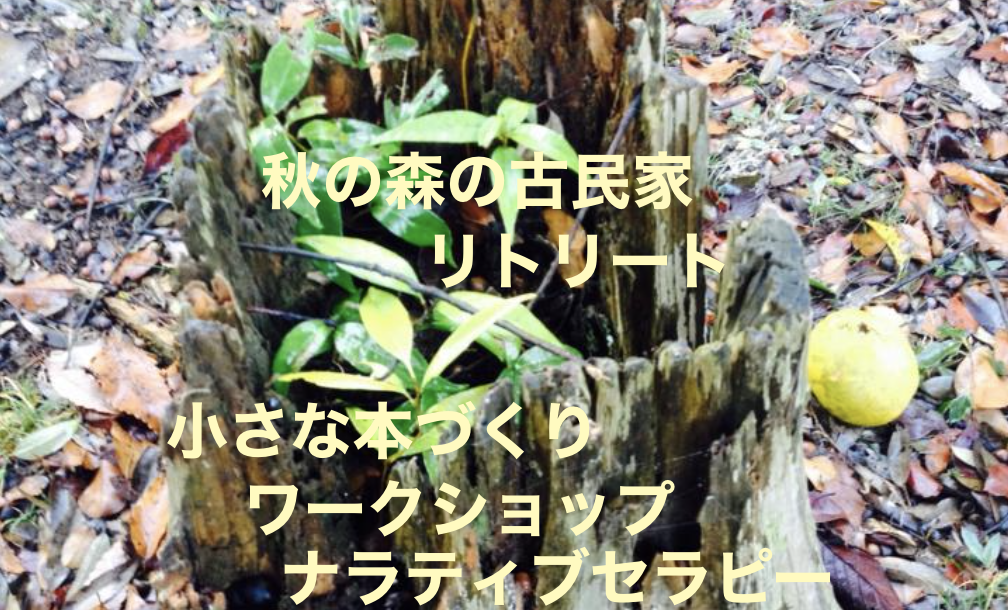 秋の森の古民家リトリート