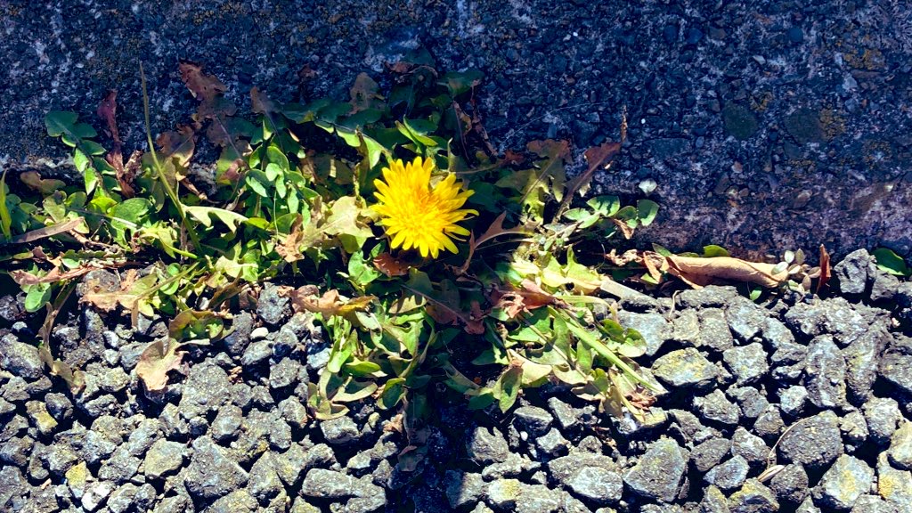 2月　暦の上では春ですよ♪