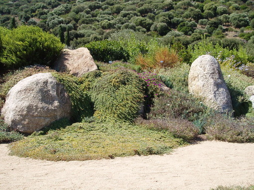 Massif de rocaille