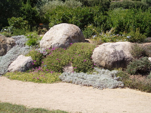 Massif de rocaille