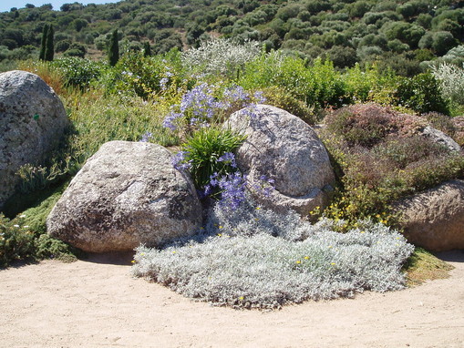 Massif de rocaille