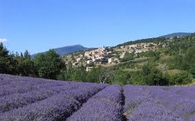 Gite et cambres d'hotes-Lou Cardalines-lavande-mont Ventoux-Vaucluse