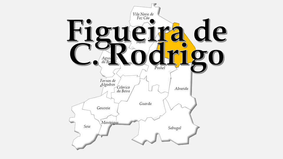Concelho de Figueira de Castelo Rodrigo 