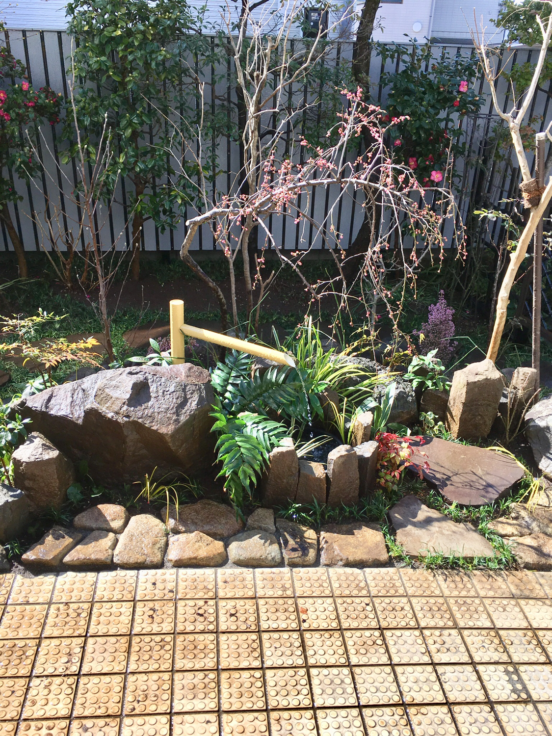調布 三鷹 狛江の植木屋 個人の植木は直接個人の植木屋 段々良くなるふたつぎ造園 調布 三鷹 狛江の植木屋 個人の植木は直接個人の植木屋 段々良くなるふたつぎ造園