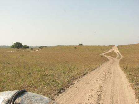 Straßen gibt es im südlichen Mosambik eigentlich keine.