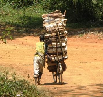 Afrikanische Holzwirtschaft