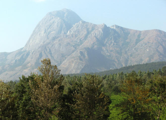 Mount Mulanje mit Teegärten