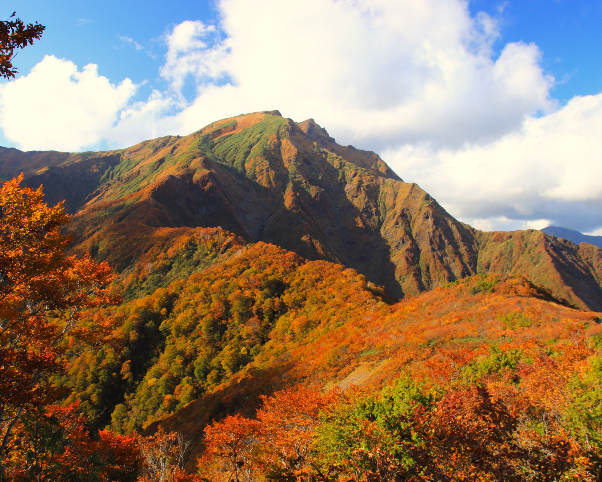 新井達弘「天空の紅葉」