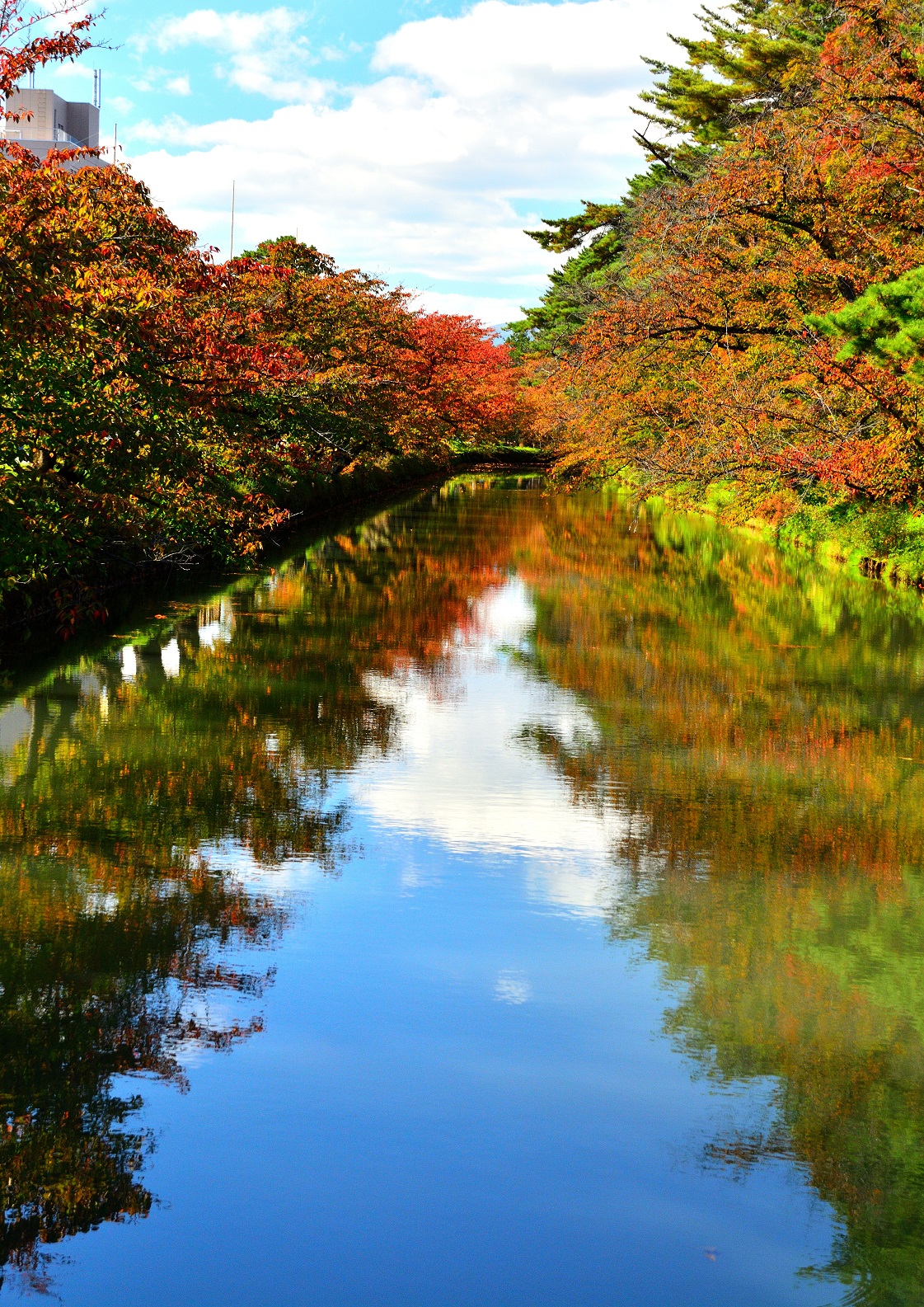 弘前公園　追手門脇の外堀　川村　裕信さん