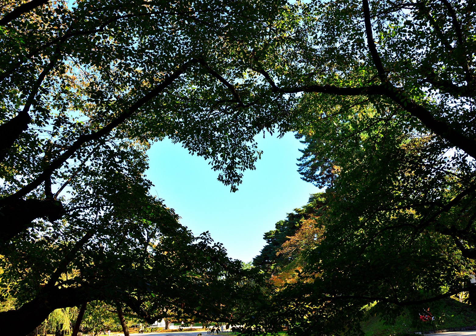恋人の聖地　川村　裕信さん
