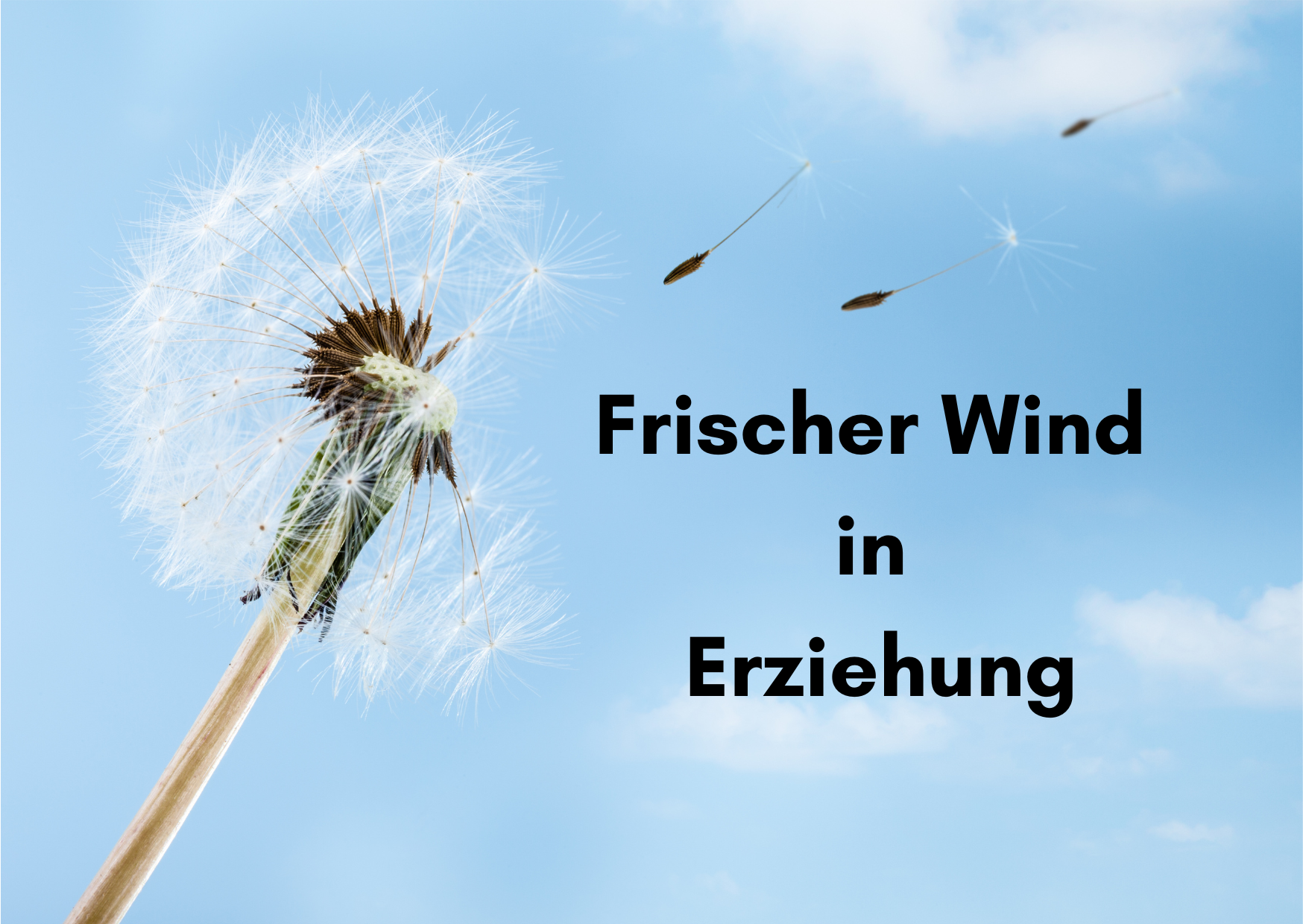Frischer Wind in "Erziehung"