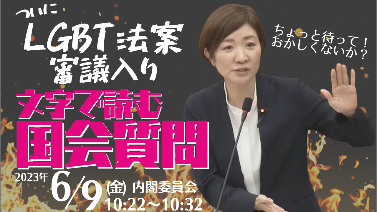 2023年6月9日【内閣委員会】LGBT法案　審議