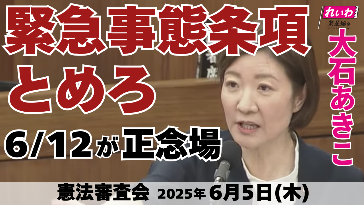 2025年6月5日【大石あきこ・憲法審査会】緊急事態条項とめろ 6/12が正念場