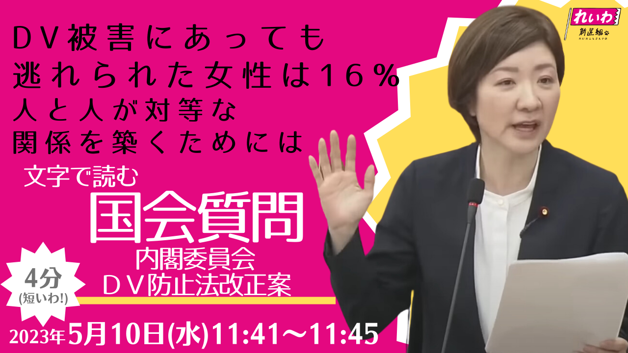 2023年5月10日【内閣委員会】DV防止法改正案　審議