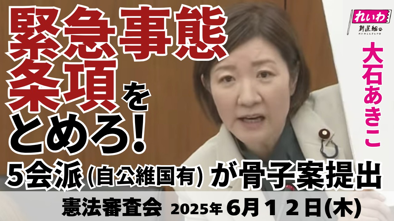 2025年6月12日【憲法審査会】緊急事態条項をとめろ！５会派（自公維国有）が骨子案提出