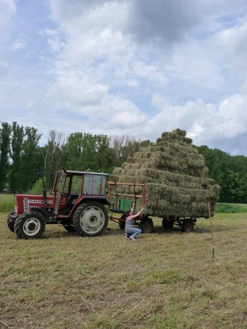 eine kleine/große Fuhr Heu