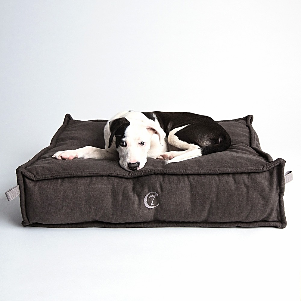 Cloud7 - Hundetaschen - Mila's World - der luxurise Hundeshop fr  Hundezubehr, Hundehalsbnder und Hundebetten