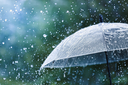 梅雨