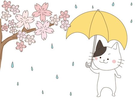 4月の雨