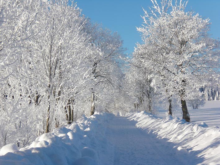 Poppenreuther Berg bei Mähring im Winter