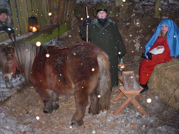 Waldweihnacht in Mähring