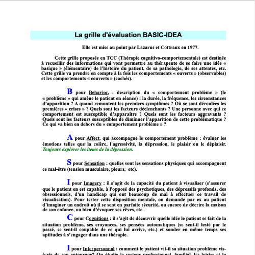 Grille d'évaluation Basic Idea