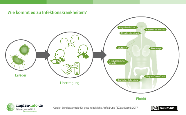 Quelle: Bundeszentrale für gesundheitliche Aufklärung (BZgA), impfen-info.de, http://www.impfen-info.de/mediathek/infografiken/immunsystem/, CC BY-NC-ND