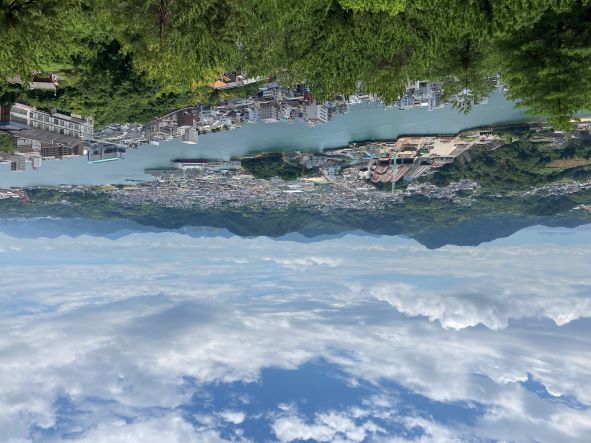 ブログを始めます